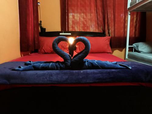 Kama Siri Koh Kood Kama Siri Koh Kood