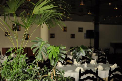 Salute Hotel - image 6