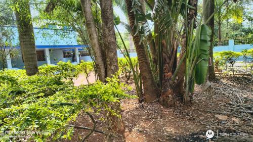 Skats, Shree Bhavan Guesthouse in Ariyurnadu