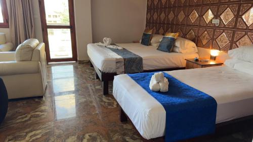 Cape Town Hotel in นาดิ