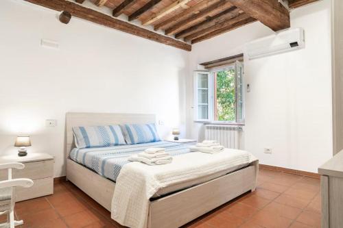 The Green House - Lucca - image 4