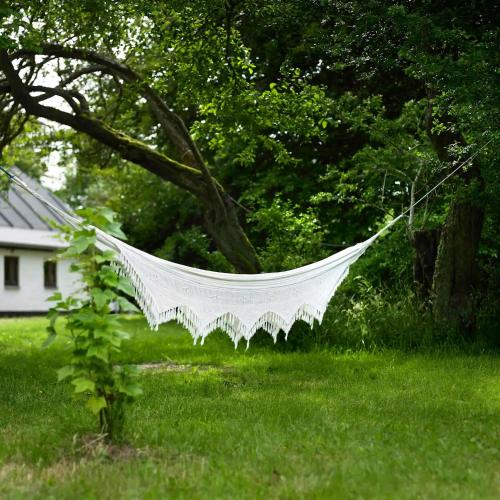 Exterior view, Cozy Cottage In Unspoiled Nature in Norklit