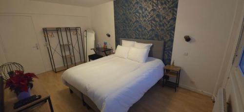 Grande chambre calme et confortable Centre Strasbourg Gare