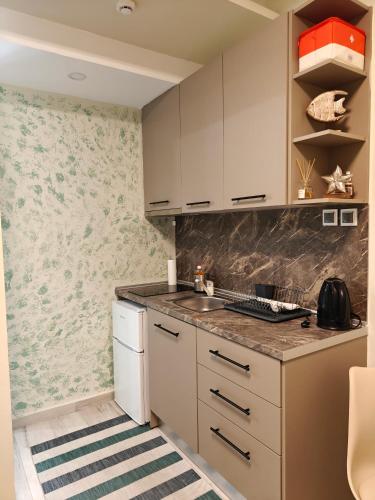Central Modern Living Apartment 1 in 埃萊夫塞魯波利