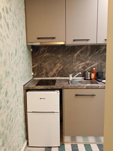 Central Modern Living Apartment 1 in 埃萊夫塞魯波利
