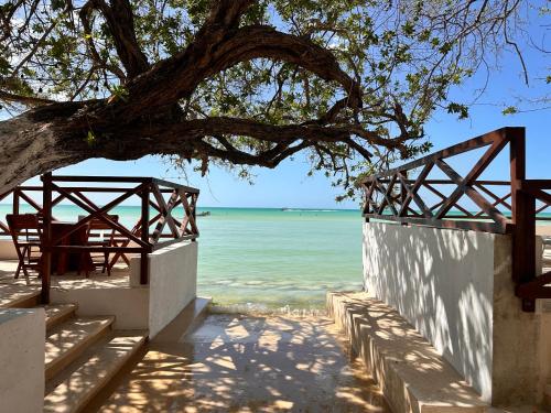 Choby's House Holbox