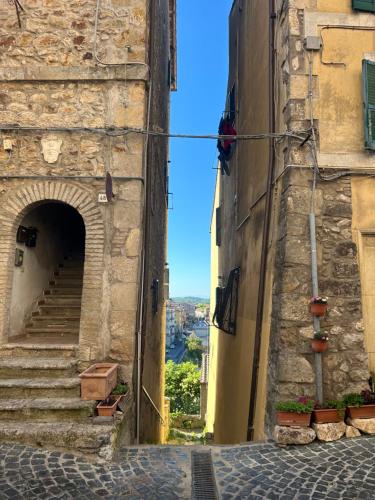 La Casa Dei Fiori in Tolfa