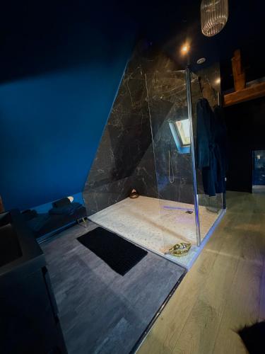 Maison love rooms in Saint-Cyr-sur-Loire