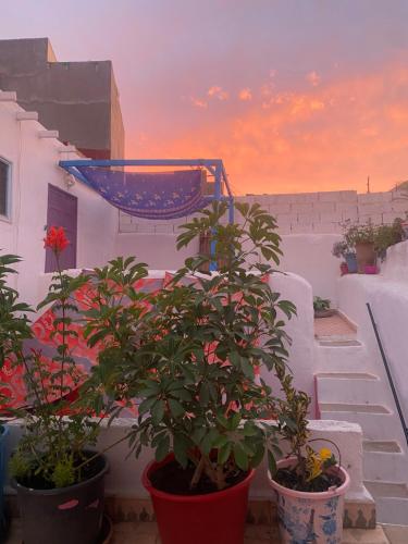 casa tradicional marroqui in Sidi Ifnis