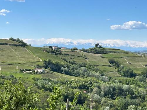 Agriturismo Il Muscatè (Agriturismo Il Muscate) in Cassinasco