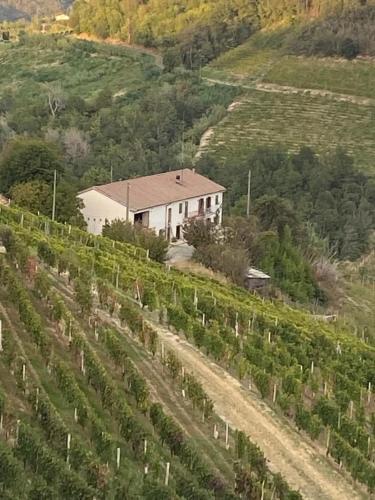 Agriturismo Il Muscatè (Agriturismo Il Muscate) in Cassinasco