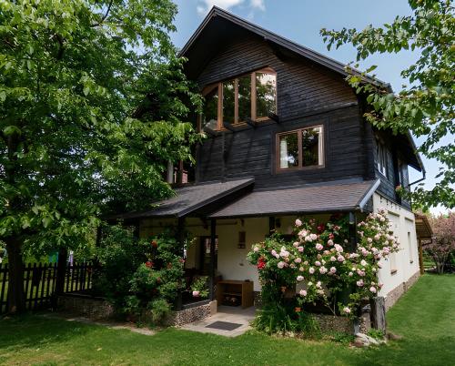 Silva Cabin Bran Next To Dracula's Castle With Free Parking - Bran