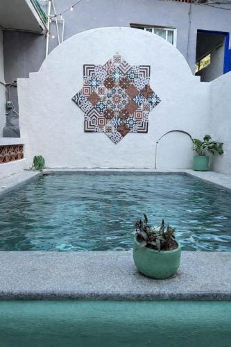 Sayu Life - Sayulita