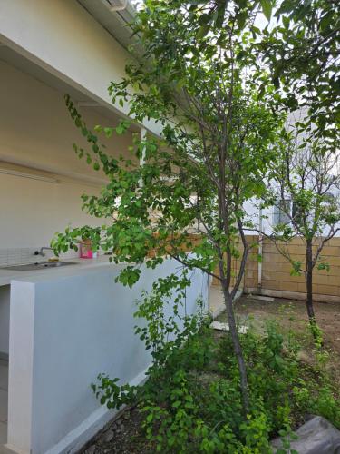 Dārzs, Indie little house in Kato Polemidia
