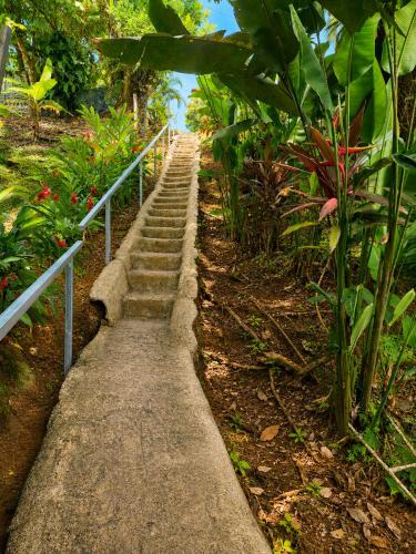 Hostel Osa Tucan Drake in Drake Bay