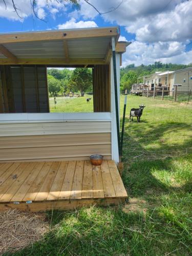 Willowtree Camper in Madisonville (TN)