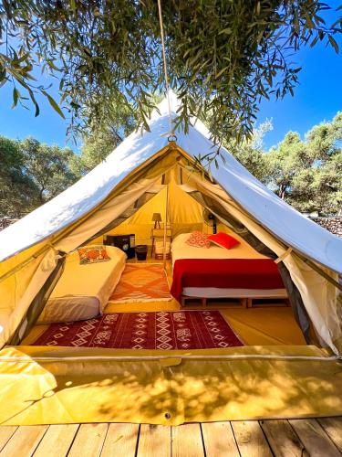 سرير, Ruina Glamping in شوكيرتمي