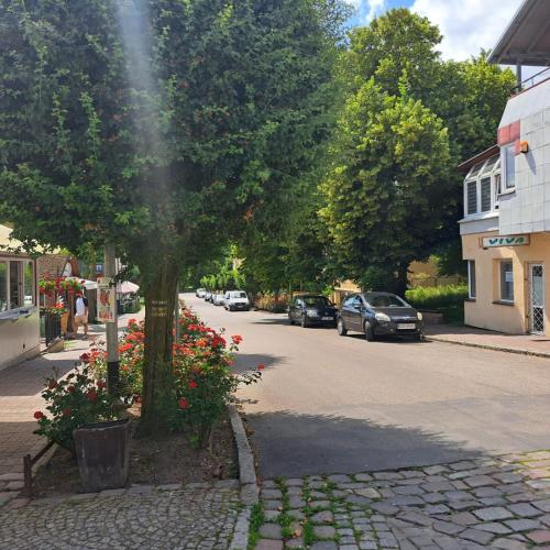 Apartament Kominkowy przy Parku in Polczyn- Zdroj