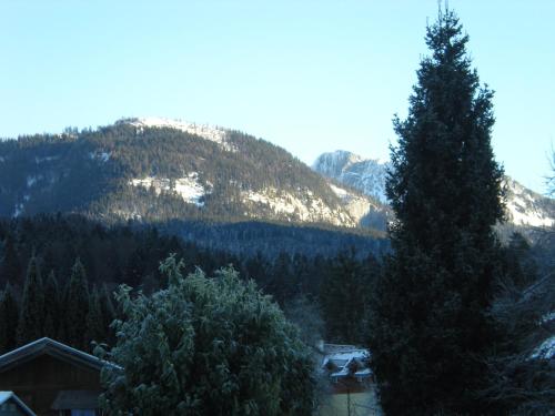 Pension Leprich - main image