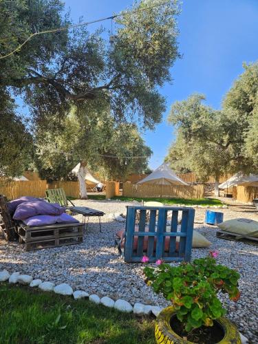 حديقة, Ruina Glamping in شوكيرتمي