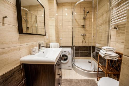 Apartament Pod Orłem, Zakopane (photo 11)