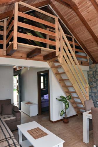 Vila Teodora in Mojkovac