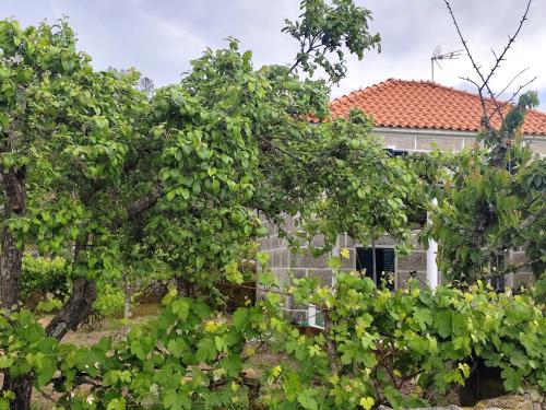 Výhled, Casa D'os Eiras in Aguiar Da Beira