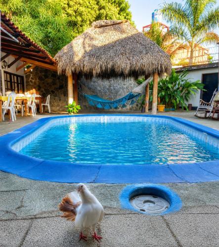 Bể bơi, hotel Oasis Managua Experience - HOME in Managua