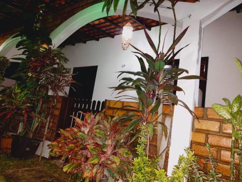Garden House - Atins, Atins
