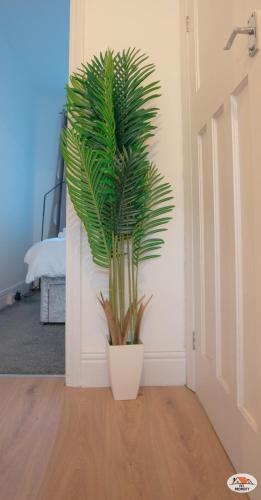 Lovely Entire Home in Swalwell, United Kingdom in Wickham