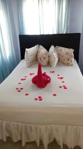 Little savoy guest house in Runaway Bay
