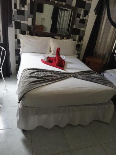 Little savoy guest house in Runaway Bay