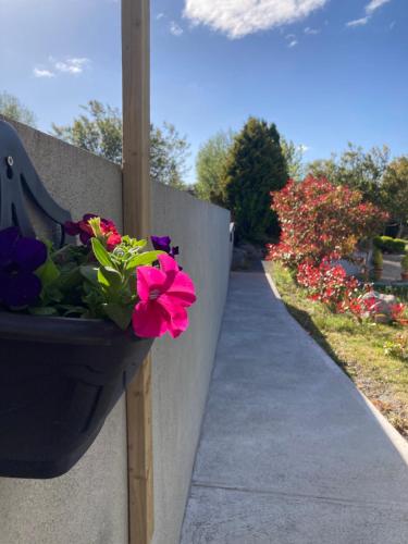 The Lodge in Moycullen