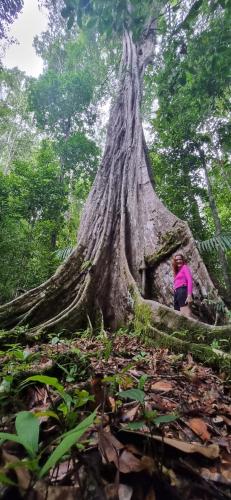 Ceiba ganadito Eco lodge in Peninsula De Osa