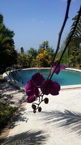 West Bali Villas-Umasari Resort