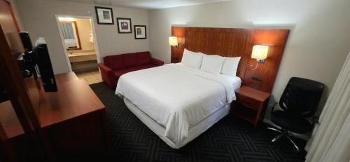 1 king bed