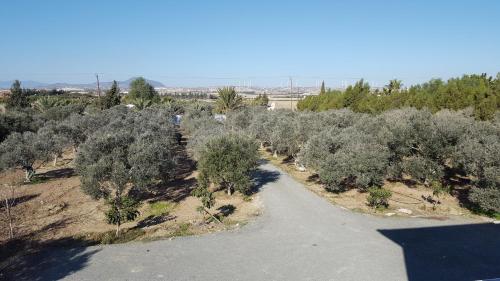 Kiti Village Villa Larnaca
