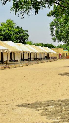 Big Brand Desert Camp - image 5