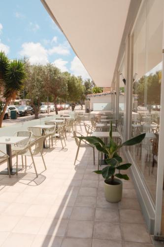 شرفة/ تراس, Hotel Cassandra in Lluchmajor