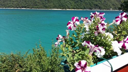 B&B Konak
