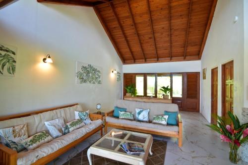 Dragonfly house in Port Elizabeth
