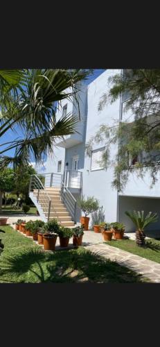 Villas Kavouri in Mesologgi