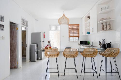 Tropical House - Garlic Lane - image 2