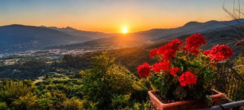 Zen Escape in Пьєве Фосциана