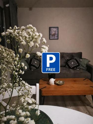 Czwarte Piętro, Zamość