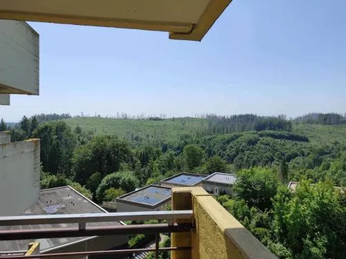 Ferienwohnung Abendsonne App 450 in Hohegeiß, Deutschland