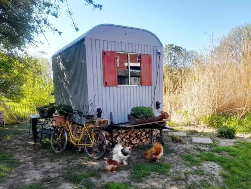 Übernachtung im Bauwagen an der Nordseeküste in Stedesdorf, Deutschland