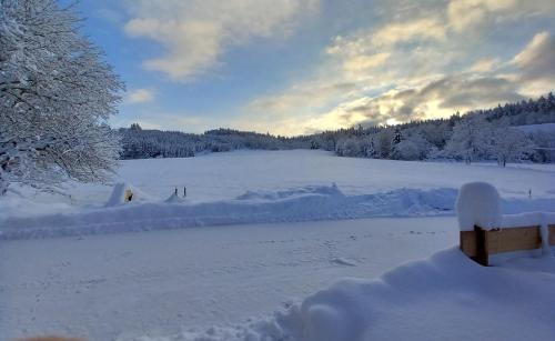 Ferienwohnung Andre in Miesbach