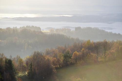 Guest House Lagotto's Peak