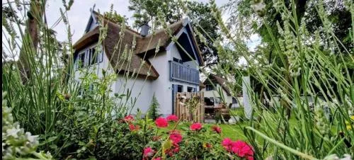 Ferienhaus Silbermöwe-136 qm mit Sauna, Kamin & 2 Terrassen in Zirchow, Deutschland